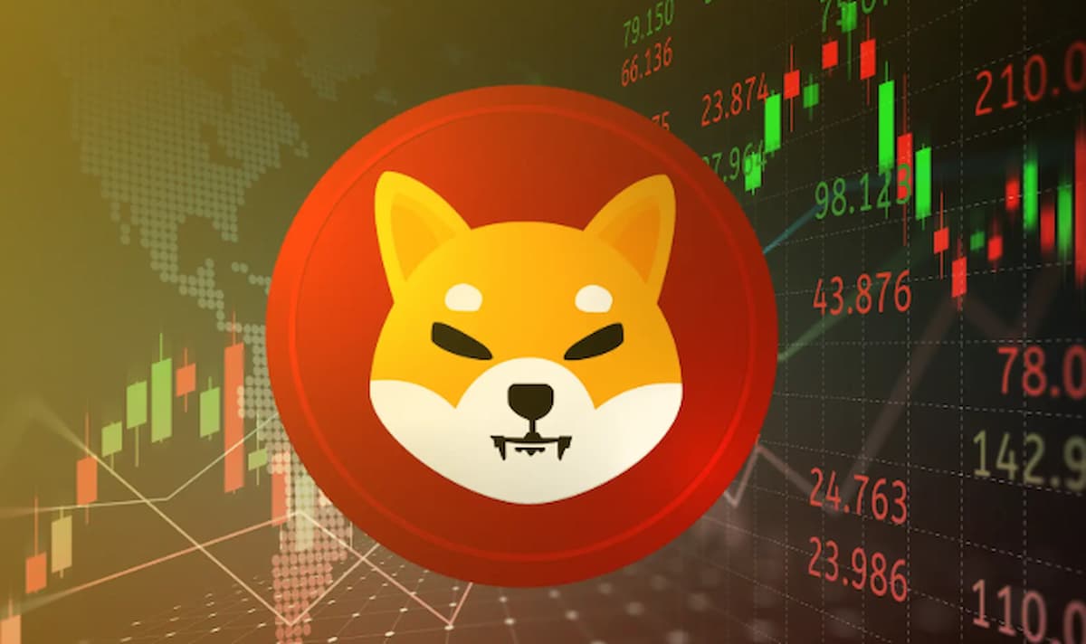 SHIB coin