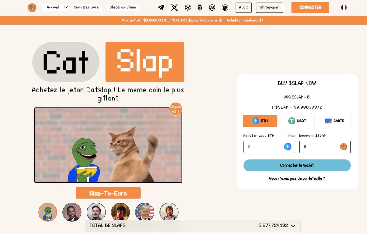 Cat Slap Nouvelle Crypto Binance