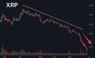 XRP price crash