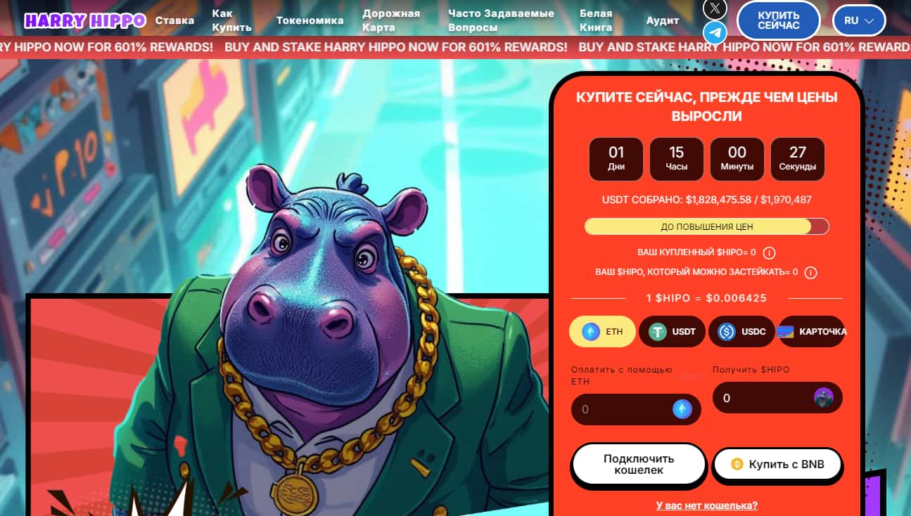 harry hippo