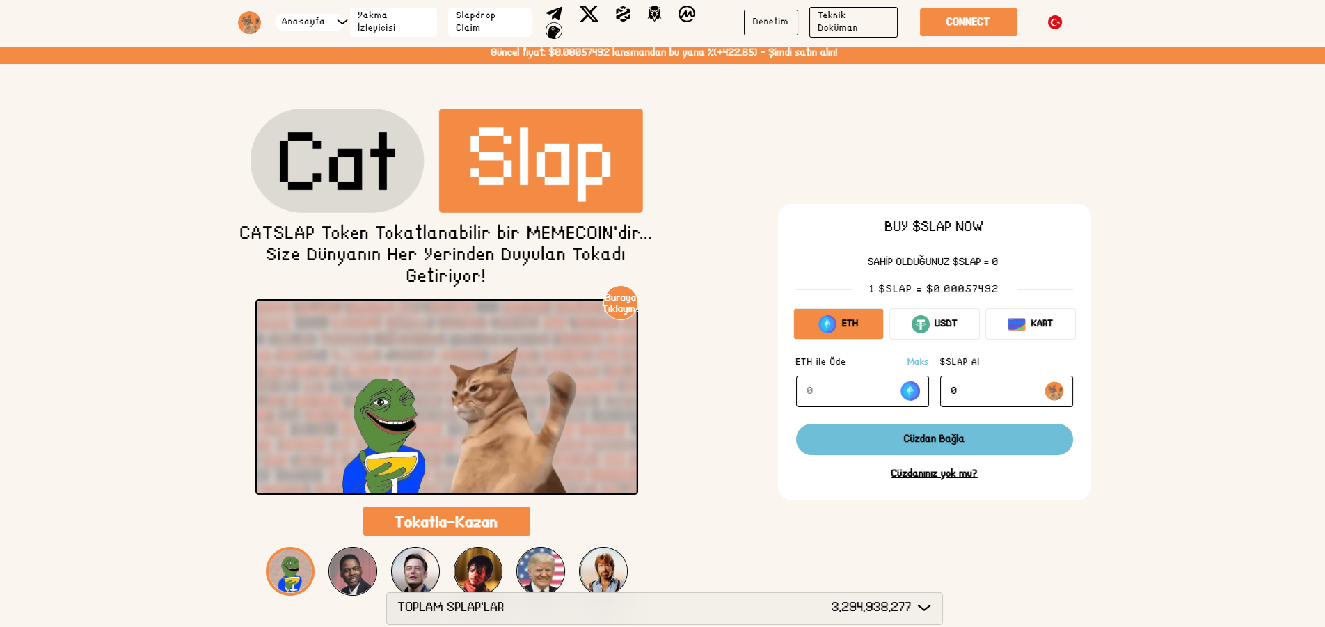 Kedi Temalı Meme Coin