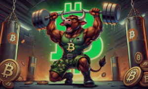 BTC Bull Token nasıl alınır