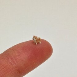 Advanced Micro Dog