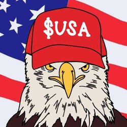 American Coin American Coin