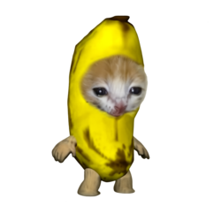 banana cat