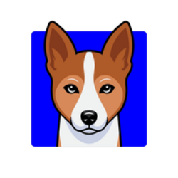 Basenji Basenji