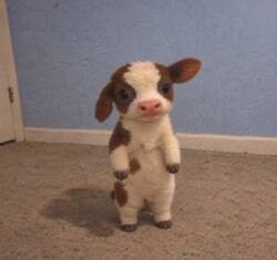 Bitcoin Cow