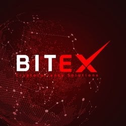 Bitex Global XBX Coin Bitex Global XBX Coin