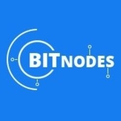 BitNodes Pro