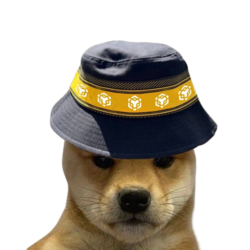 BNB DOGE BNB DOGE