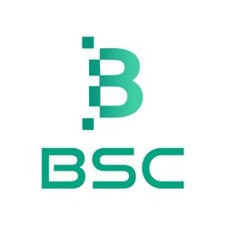 BSC Token