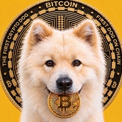 Buddy -First Crypto Dog Price