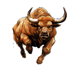 Bull Run Solana