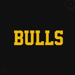 Bulls Bulls