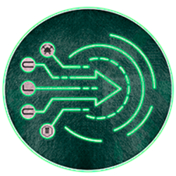 CaluraCoin CaluraCoin