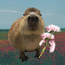 Capybara Capybara