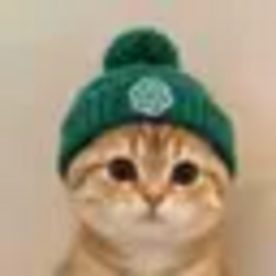 CATGPT