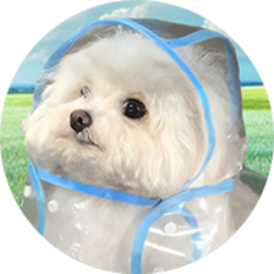 COAT DOG COAT DOG