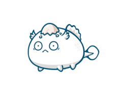 Cocaine Cowboy Shards Cocaine Cowboy Shards