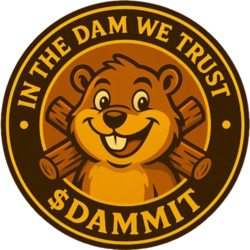 DAM IT DAM IT