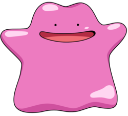 Ditto Ditto