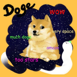 doge in a memes world