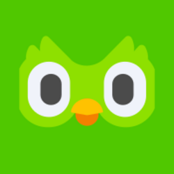 Duolingo, Inc. (Coinbase Tokenized Stock)