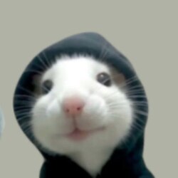 hood rat hood rat