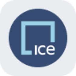 Intercontinental Exchange Tokenized Stock (Reality)