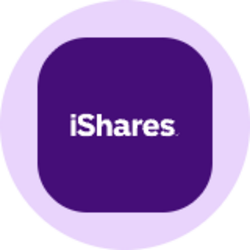 iShares MSCI EAFE Value ETF (Ondo Tokenized)