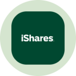 iShares Systematic Bond ETF (Ondo Tokenized ETF)