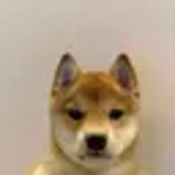 It's just a Dog It's just a Dog