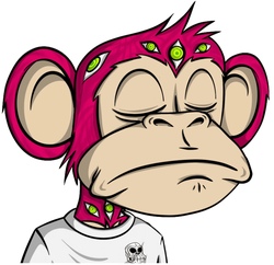 jungle bay memes jungle bay memes