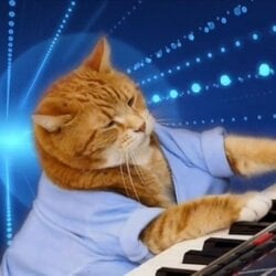 Keyboard Cat (Base)