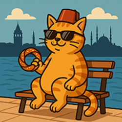 MeowIstanbul MeowIstanbul
