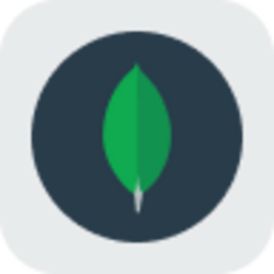 MongoDB rStock