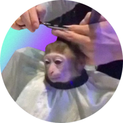 monkeyhaircut