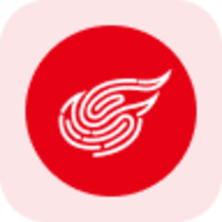 NetEase Tokenized Stock (Reality)