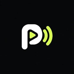 Ponstream