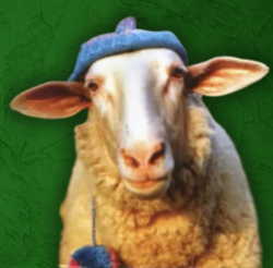 Sheep Wif Hat Sheep Wif Hat