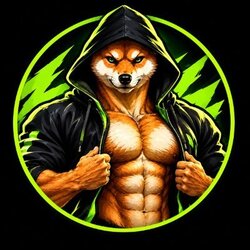 Super Shiba