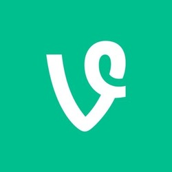 Vine