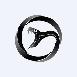 Viper Energy Tokenized Stock (Reality)
