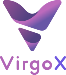 VirgoX Token