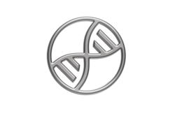 XDNA XDNA