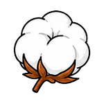 Algodón