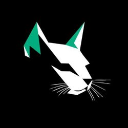 Kittenswap V3 Kittenswap V3