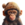 ApeWifHat
