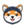 Asteroid Shiba