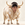 Aura Final Bull